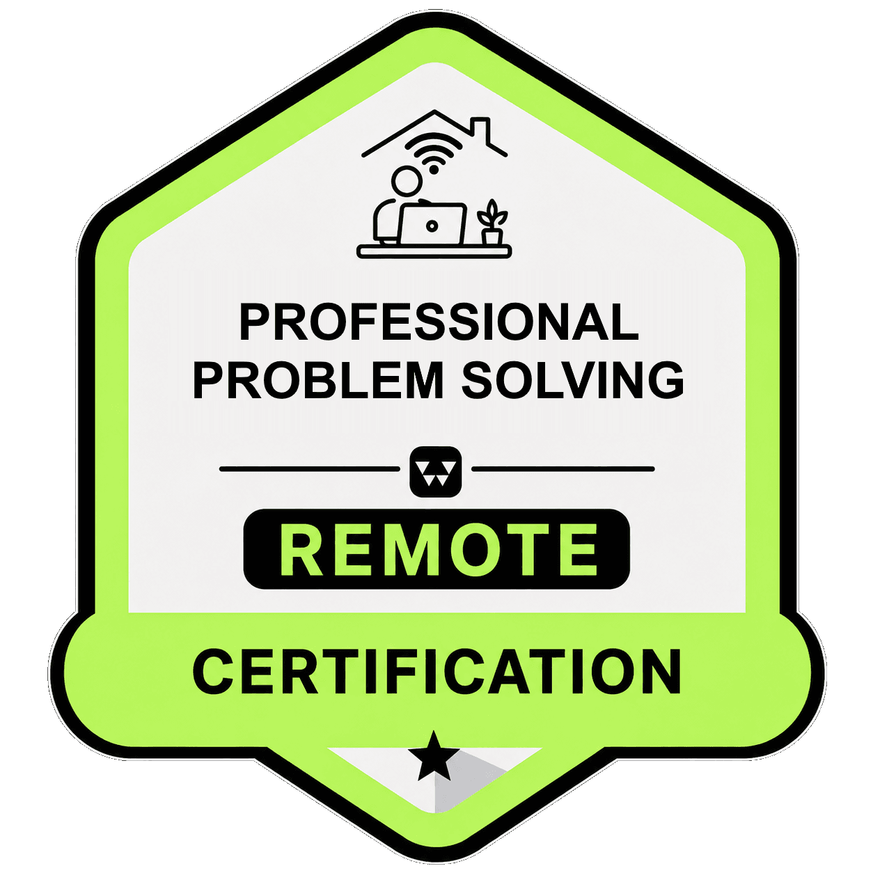 Professional Problem Solving