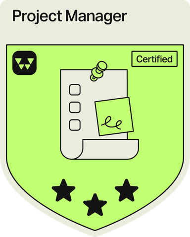 Badge - 3 Stars - Project Manager